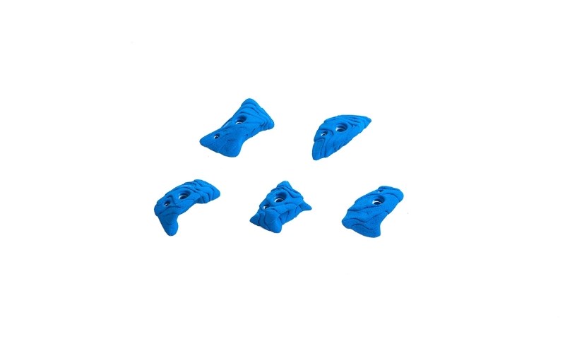 Acari